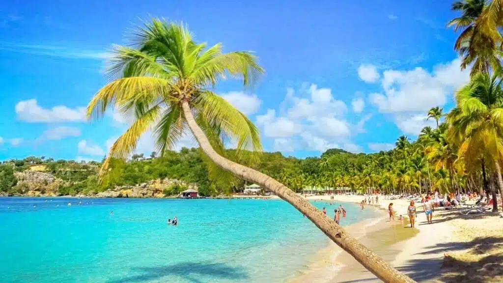 Vols A/R Paris–Guadeloupe depuis Paris vers Pointe-à-Pitre - tarifs dès 545€ TTC avec dates flexibles