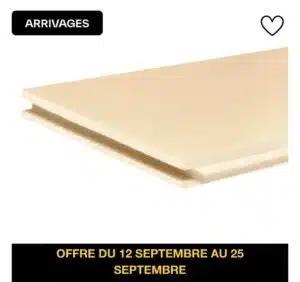 Panneau XPS Soprema 60 mm isolant pour sols, murs et toitures - dimensions 2,50 x 0,60 m