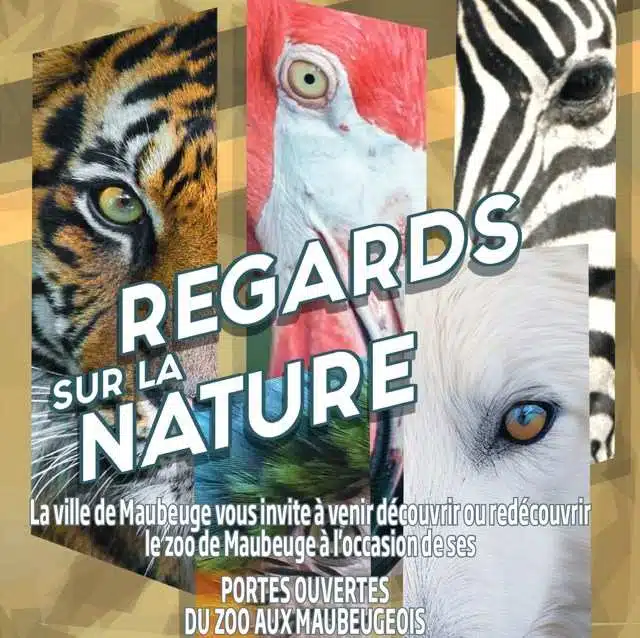 Entrée gratuite pour habitants au Zoo de Maubeuge avec programme Halloween