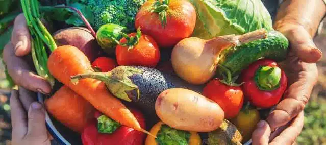 Distribution gratuite de légumes frais sur le campus de Mont-de-Marsan, réservé aux étudiants