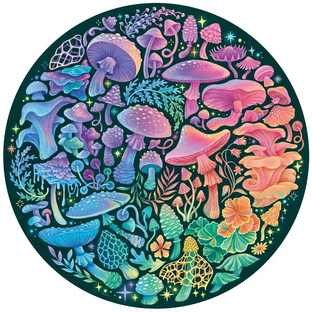 Puzzle rond Ravensburger Circle of Colors 500 pièces – gradient chromatique, finition mate anti-reflets, FSC et recyclés