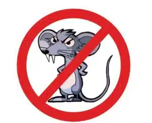 Distribution gratuite de raticide proposée par la Ville de Saint-André-lez-Lille – le 29 octobre 2025 de 10h à 12h