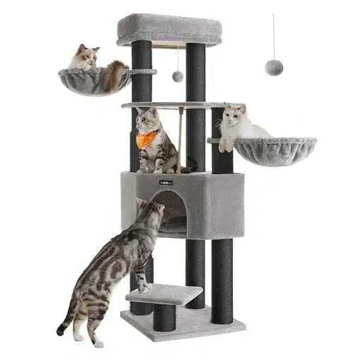 Arbre à chat Feandrea 160 cm Gris tourterelle et noir – France, stabilité et jeux pour chats