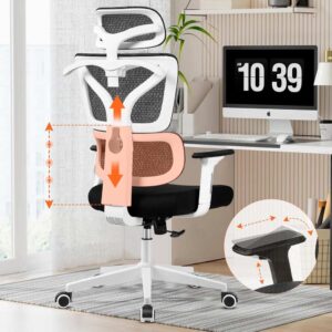 Fauteuil de bureau ergonomique Kerdom avec double soutien lombaire, accoudoirs 3D et maillage