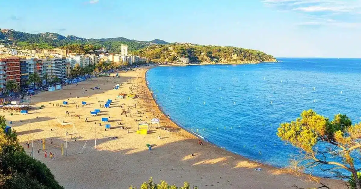 Flamenco-a-Lloret-optimized