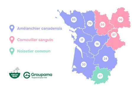 Arbre gratuit Groupama Atlantique – réservation locale et récupération en agence