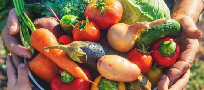Distribution gratuite de légumes frais sur le campus de Mont-de-Marsan, réservé aux étudiants
