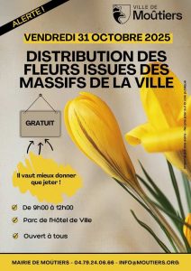 Distribution gratuite de fleurs à Moûtiers par la mairie avec conseils jardinage locaux