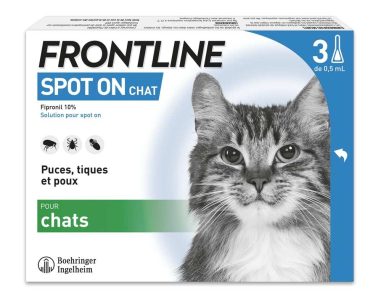 Frontline Spot On Chat 0.5ml France antiparasitaire chat puces et tiques
