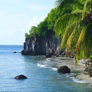 Offre Martinique Lodge Confort avec voiture au Village de la Pointe