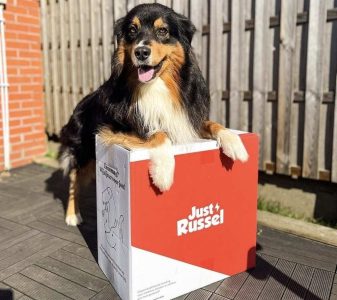 Offre Just Russel - alimentation personnalisée pour chien et chat avec livraison gratuite et 50% sur la première commande