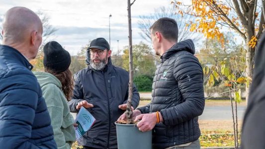 Distribution gratuite d’arbres pour habitants des 58 communes de la Métropole de Lyon