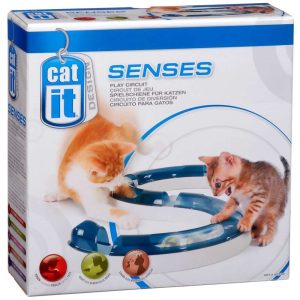 Circuit de jeu Catit Design pour chat avec balle verte et pistes extensibles